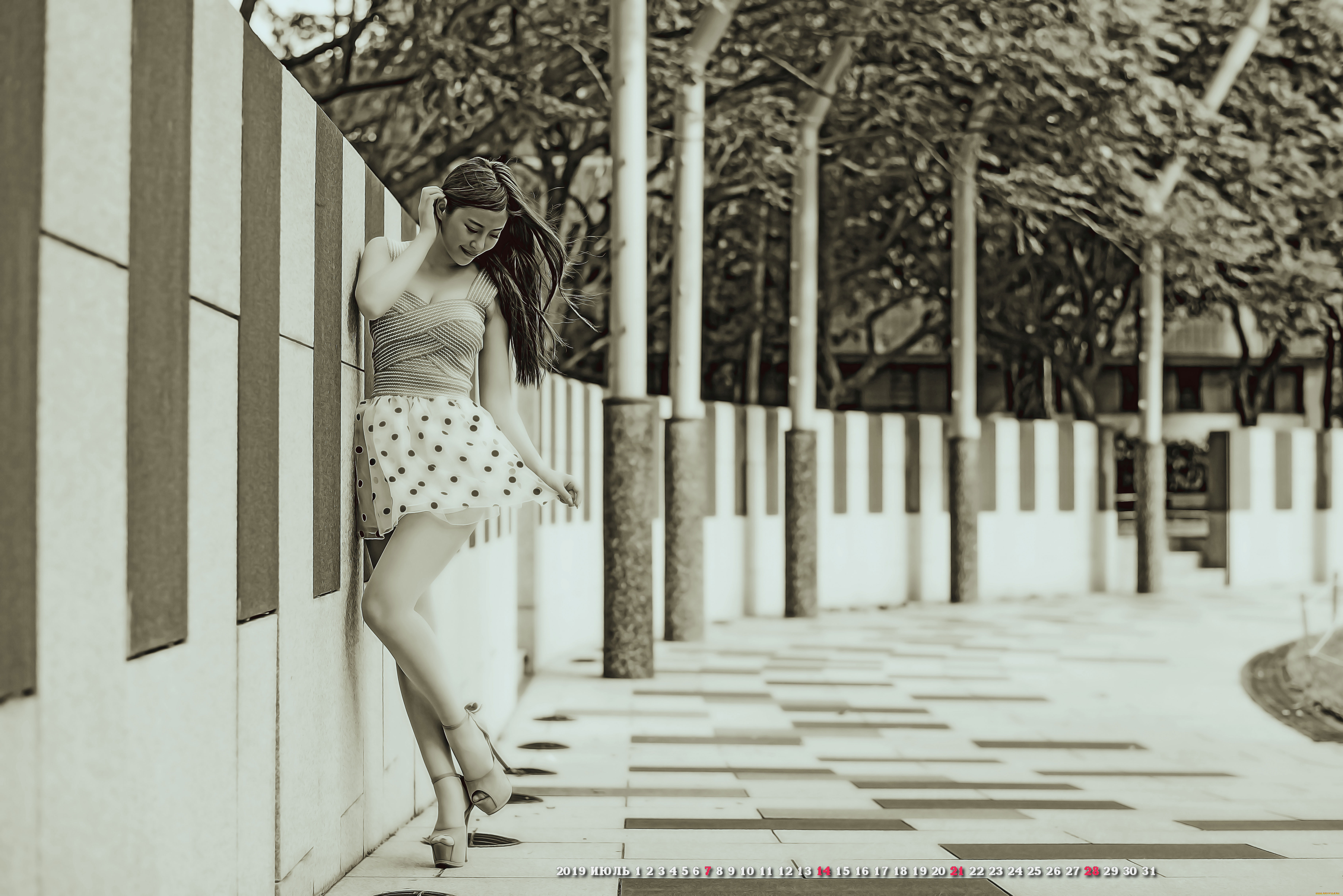 ,  , , , , calendar, , , 2019